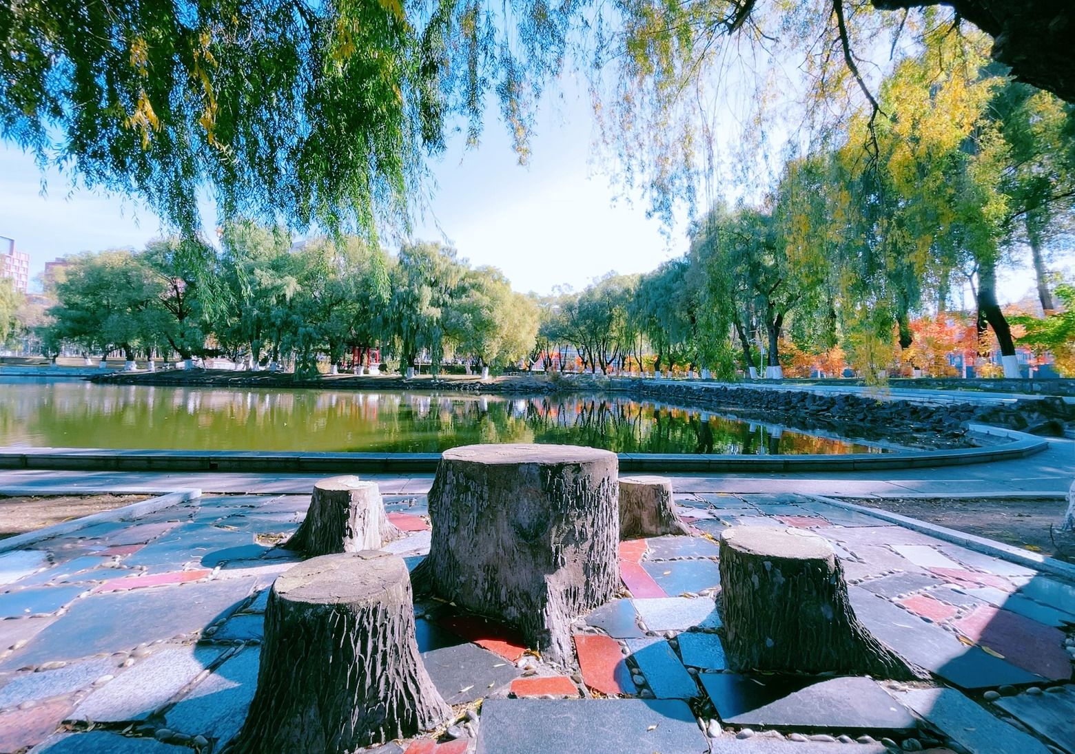 关于做好我校高等学历继续教育2601批次毕业工作的通知