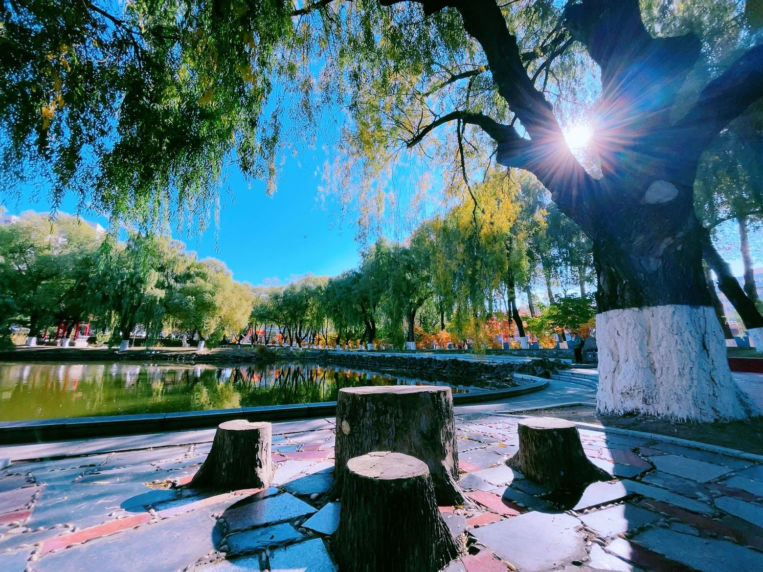 关于做好东北师范大学网络教育学生2601批次毕业工作的通知